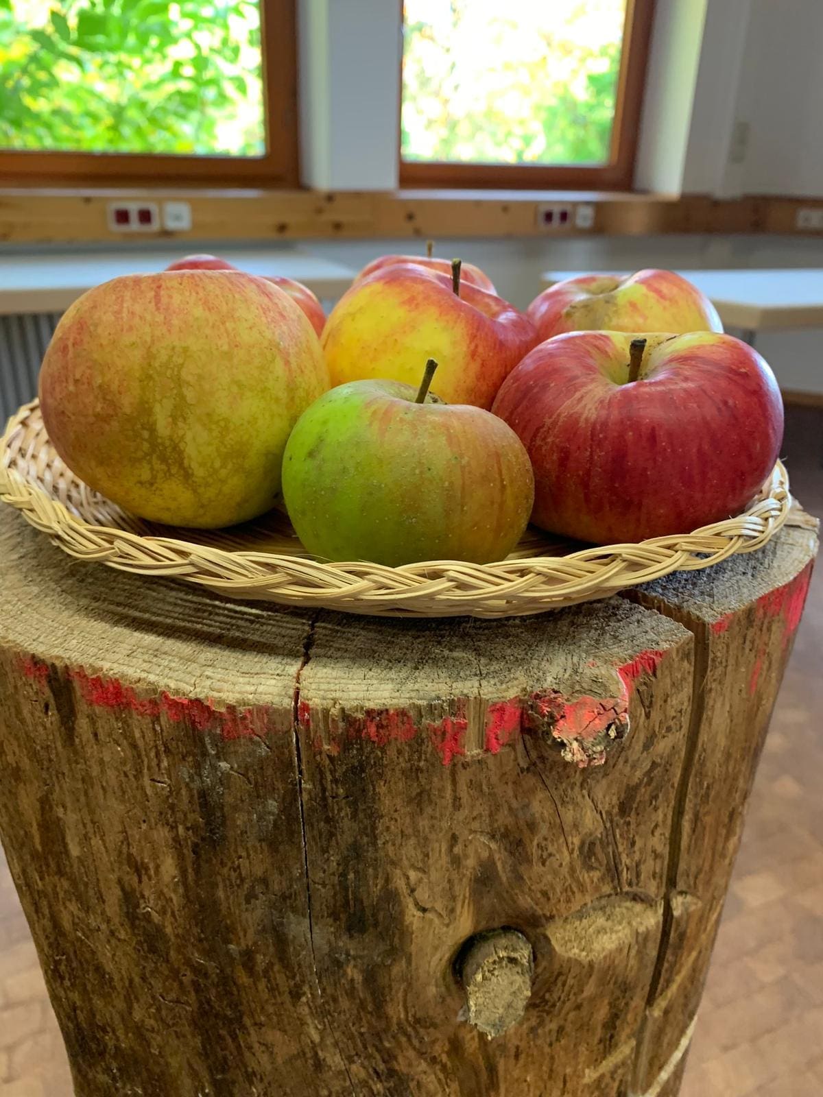 Dekoration auf einem Holzstamm. Bunte Äpfel groß und klein im Korb.